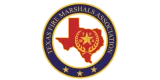 TFMA AAA Fire and Backflow Services